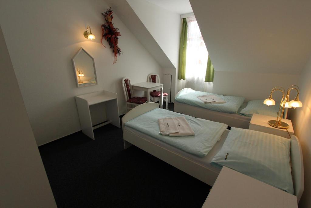 Hotel Excelent Rýmařov 객실 사진