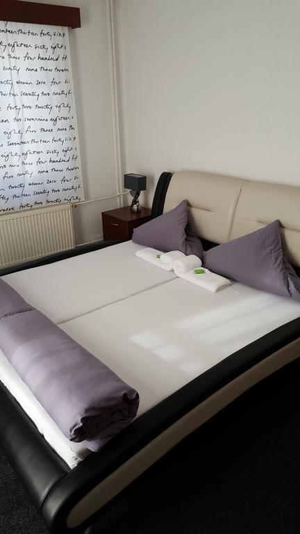 Hotel Excelent Rýmařov 외부 사진